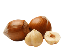 Two hazelnuts in shells and two hazelnuts in without shells